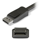 12_DisplayPort-male-mediafo.com